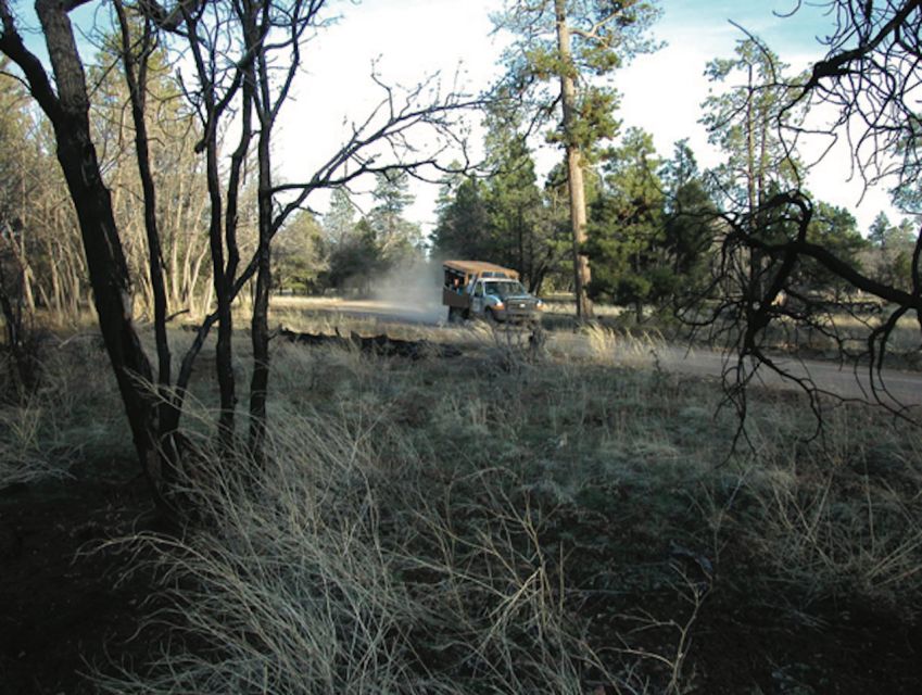 Grand Canyon: Off-Road Sunset Safari with Skip-the-Gate Tour - A smart way to reach the South Rim