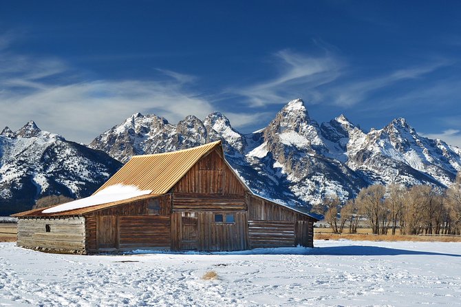 Grand Teton Wildlife Safari in a Enclosed or Open-Air Vehicle (season dependent) - Who should book this safari?