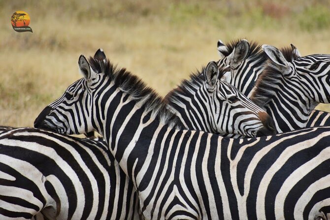 Group Safari 7 Days in Tanzania's Main Parks - Day 7: Arusha market and airport return