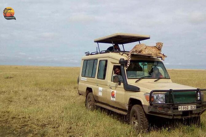 Group Safari 7 Days in Tanzania's Main Parks - Day 1: Arusha gives you a gentle start