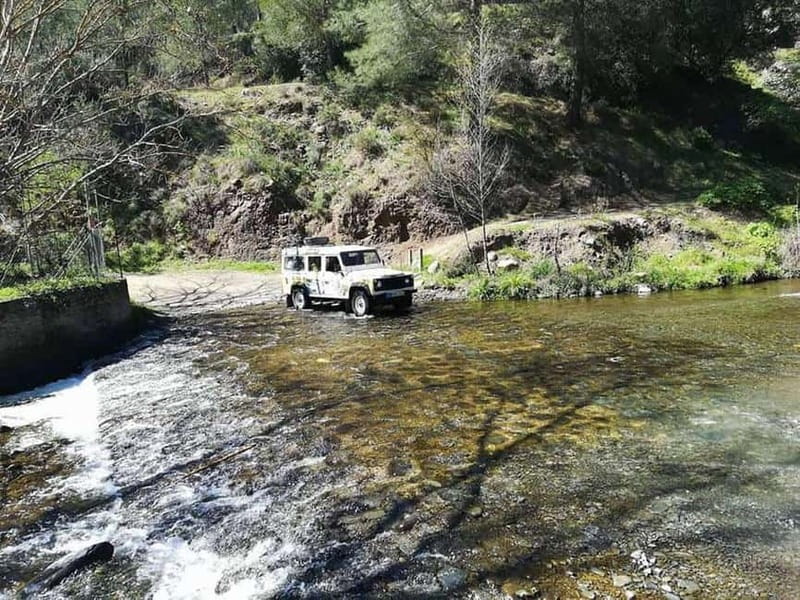 Guided Safari Tour Troodos Mountains and Kykkos Monastery - From Paphos to Cyprus’s pine-covered highlands