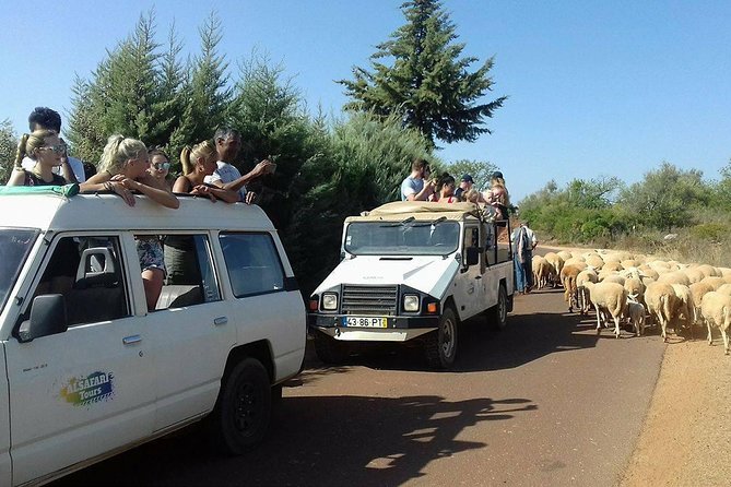 Half-Day Algarve Countryside and Villages Jeep Safari - Benafim is a practical pause, not a major attraction