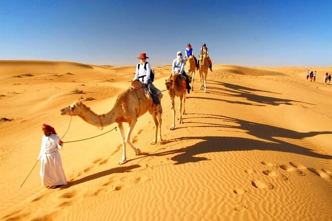 Half Day Desert Safari with Sand Boarding and Camel Ride - What $59 buys you