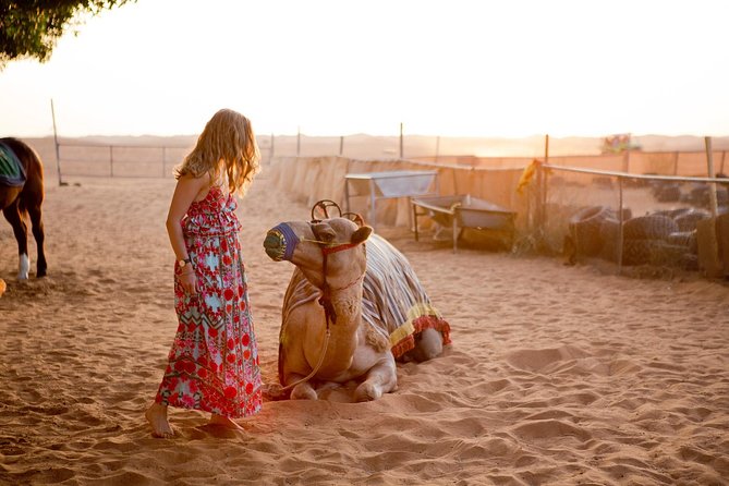 Half-Day Dubai Desert Safari With 7 Live Shows and BBQ Dinner - Dune bashing and sandboarding before sunset