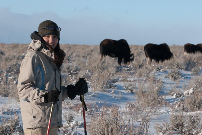 Half Day Grand Teton Wildlife Safari Tour - Moose Wilson Road: a different kind of search