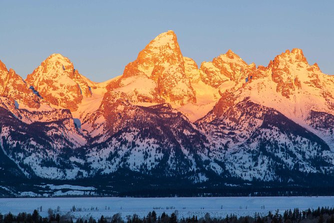 Half Day Grand Teton Wildlife Safari Tour - What $170 buys you