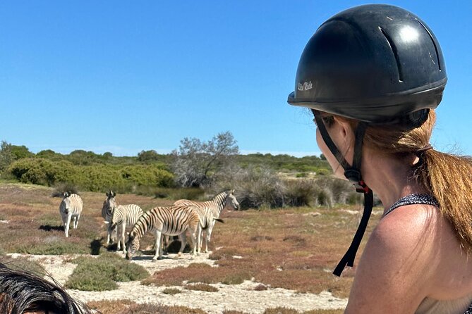 Half day Horse back safari - Is $60.60 a fair price?