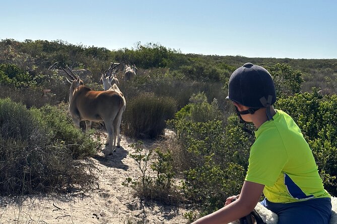 Half day Horse back safari - The small logistical detail that can ruin the start