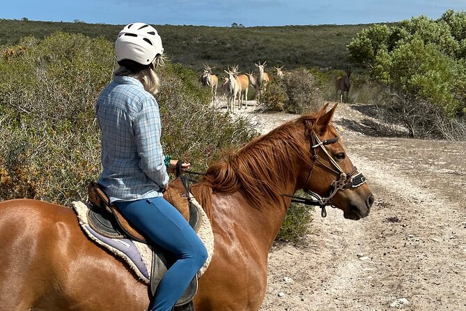 Half day Horse back safari - What the ride through the farms is like