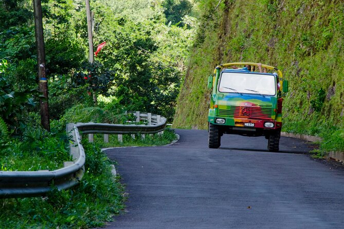 Half Day Jeep Safari - Morne Bruce and Roseau from above