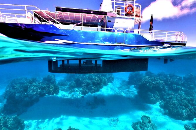 Half day lagoon safari tour in Bora Bora- Shared tour - Eagle rays, manta rays, and the luck factor