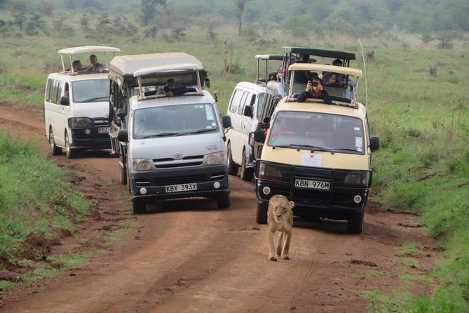 Half-Day Nairobi National Park Safari from Nairobi with Free Pickup - Guides, information, and the human side of the trip
