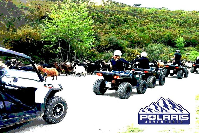 Half-Day Rethymno Quad Safari - Prassano Gorge and the birds overhead