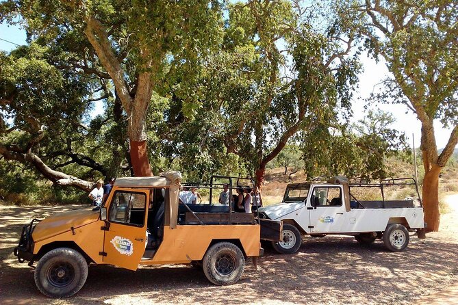Half Day Safari Tour with Wine Tasting - The 4x4 ride through Paderne and the interior