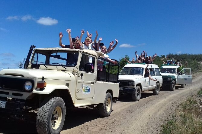 Half Day Safari Tour with Wine Tasting - The food, wine, and value of the $70.14 price