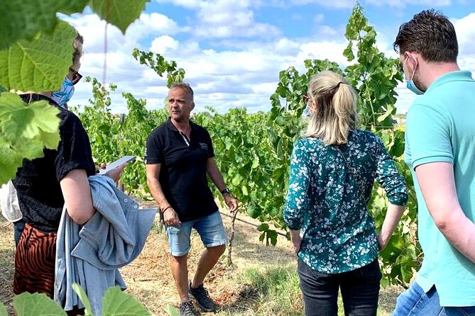 Half Day Safari Tour with Wine Tasting - Guides make the difference