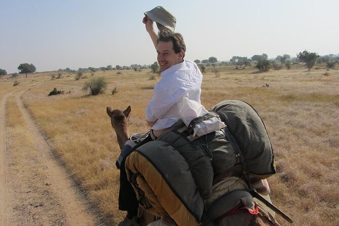 Half-Day Sunset Desert Safari - Key points to know before you go