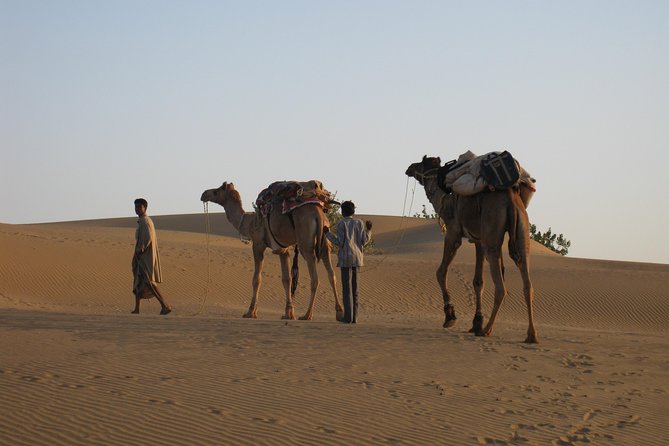 Half-Day Sunset Desert Safari - The base camp and the switch to camel power