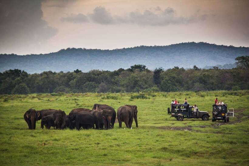 Hambantota Port: Udawalawe Safari Tour & Transit Home Visit - What the $51 price really covers