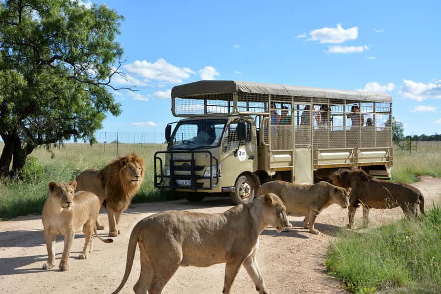 Hartbeespoort: Predator Safari with a Guide - Key points to know before you go