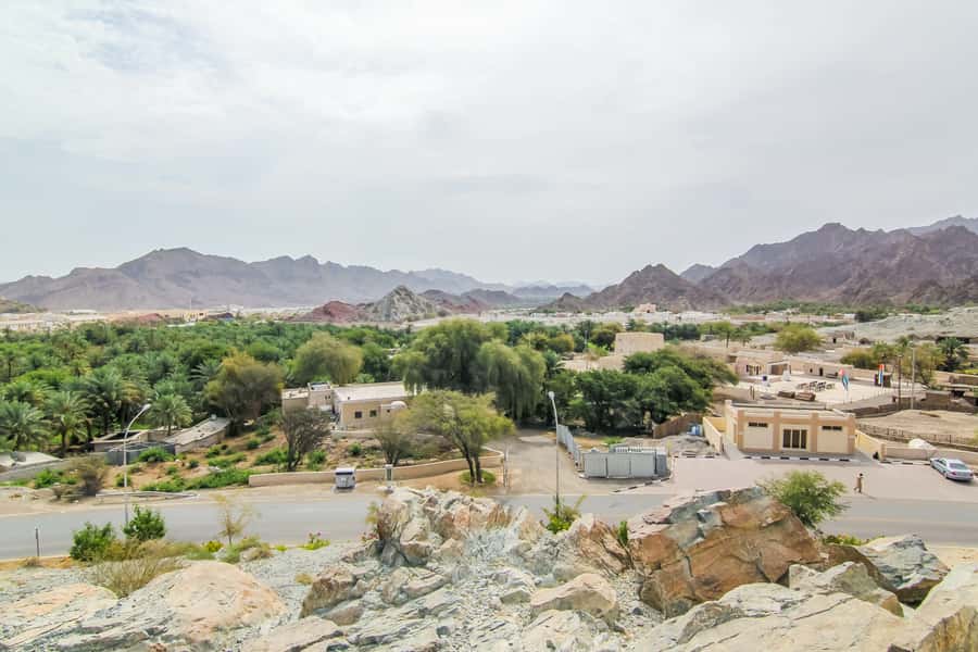 Hatta Safari & Honey Bee Garden Visit - Sandboarding and the dune drive