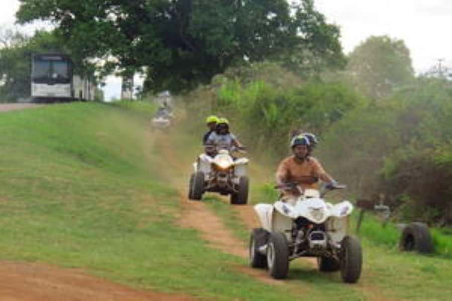Hazyview: Guided Macadamia Plantation and Forest Quad Safari - Key points to know before you ride