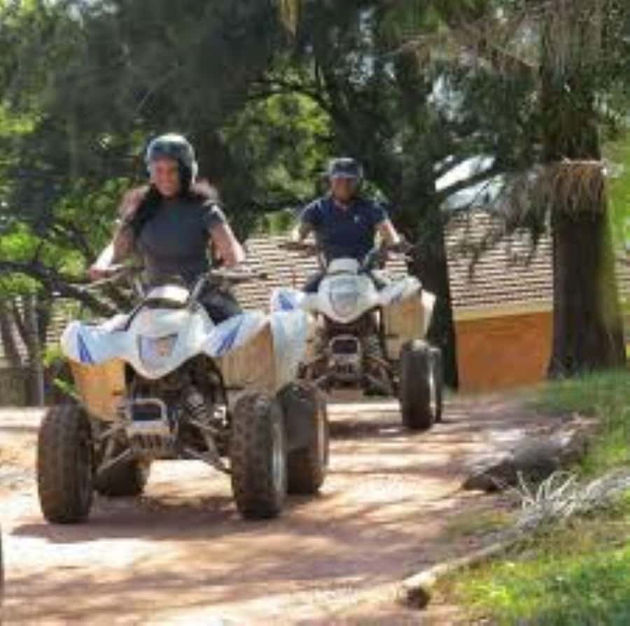 Hazyview: Guided Macadamia Plantation and Forest Quad Safari - Forest trails and the Sabie River