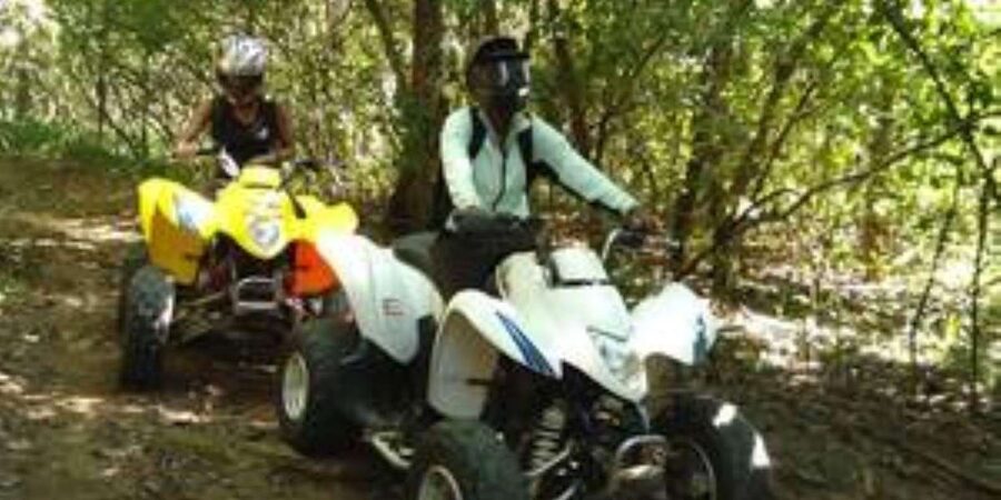 Hazyview: Guided Macadamia Plantation and Forest Quad Safari - Who will enjoy this Hazyview activity