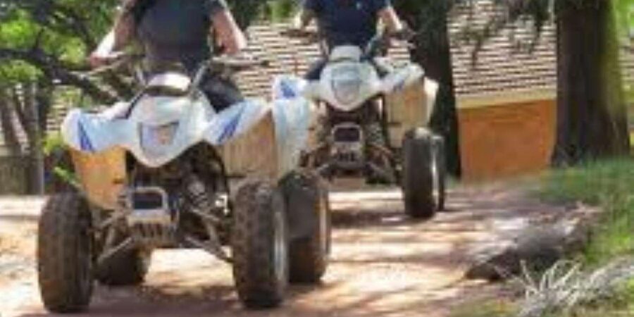 Hazyview: Guided Macadamia Plantation and Forest Quad Safari - How it compares with a typical safari day