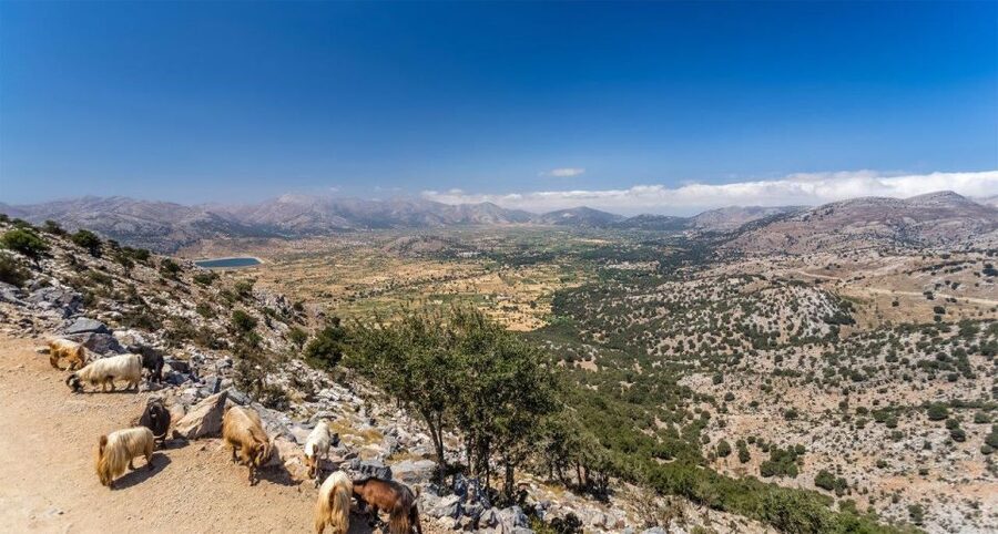 Heraklion: Sunset Safari with Dinner & Prosecco - From your hotel to the Aposelemis reservoir