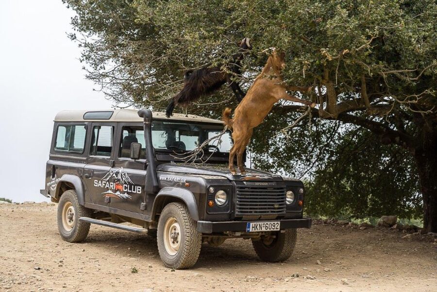 Heraklion: Sunset Safari with Dinner & Prosecco - Who should book this experience