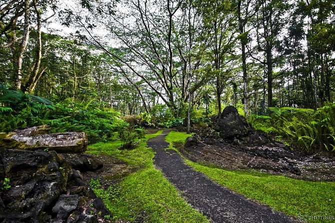 Hilo Shore Excursion: Volcano Safari Lava Caves & Black Sand - A local food stop instead of an included lunch