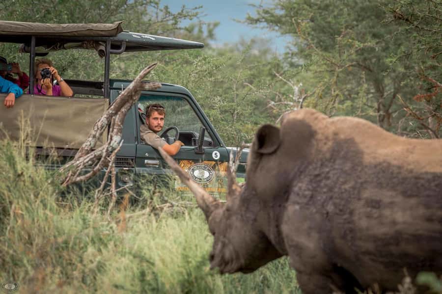 Hluhluwe-Imfolozi: Big 5 Full or Half-Day Safari - Why Hluhluwe-Imfolozi is worth your safari day