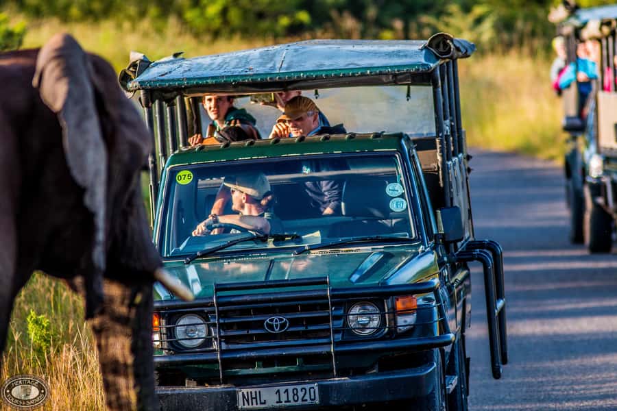 Hluhluwe-Imfolozi: Big 5 Full or Half-Day Safari - The early departure from St. Lucia
