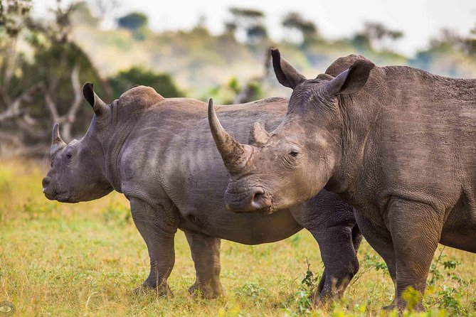 Hluhluwe-Imfolozi Park Full Day Big 5 Safari Tour - The 5:00 am pickup from St Lucia