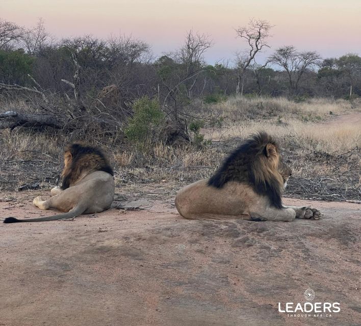 Hoedspruit: Private Kruger National Park Full-Day Safari - The value of a $404 private safari