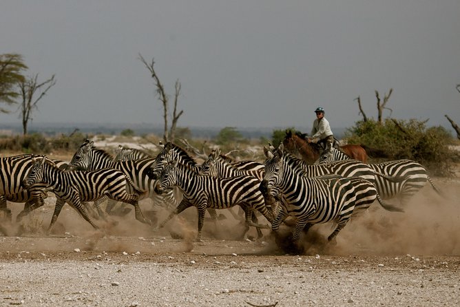 Horse safaris in Tanzania - Key points to know before booking