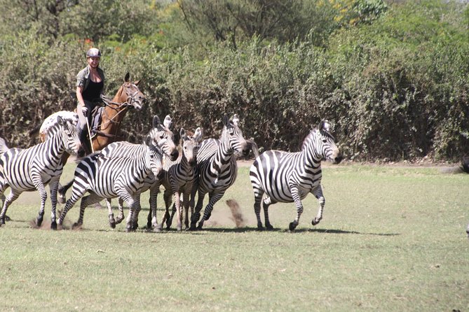 Horse safaris in Tanzania - What the wildlife viewing is really like