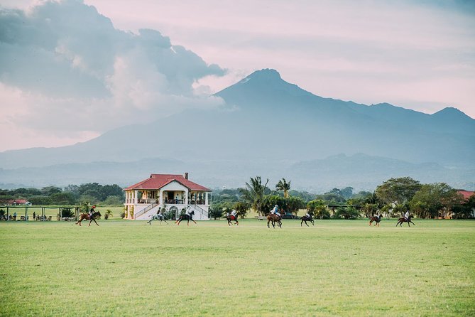Horse safaris in Tanzania - How the two-hour ride unfolds