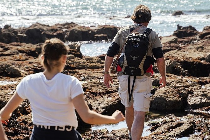Howth Safari Hiking Tour - How the walk ends