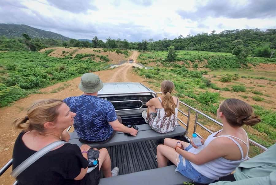 Hua Hin: Kui Buri Elephant Safari Private Tour - Dinner gives the long day a pleasant finish