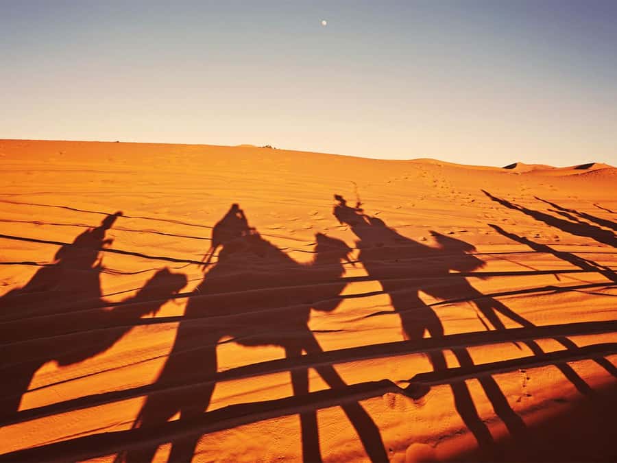 Hurghada: 6-Hour Jeep Desert Safari, Dinner, and Show - A 4WD ride with real jolts