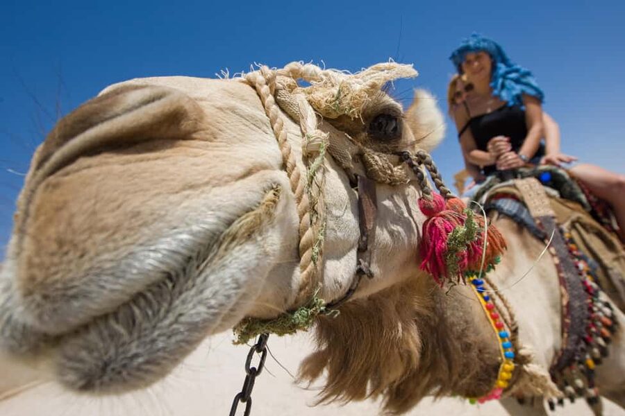 Hurghada: ATV Quad, Jeep and Buggy Safari with BBQ Dinner - Guides make a large difference