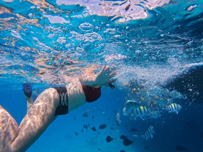Hurghada: Safari ATV Quad & Speedboat to Orange bay island - Three hours on a quad in the Egyptian desert