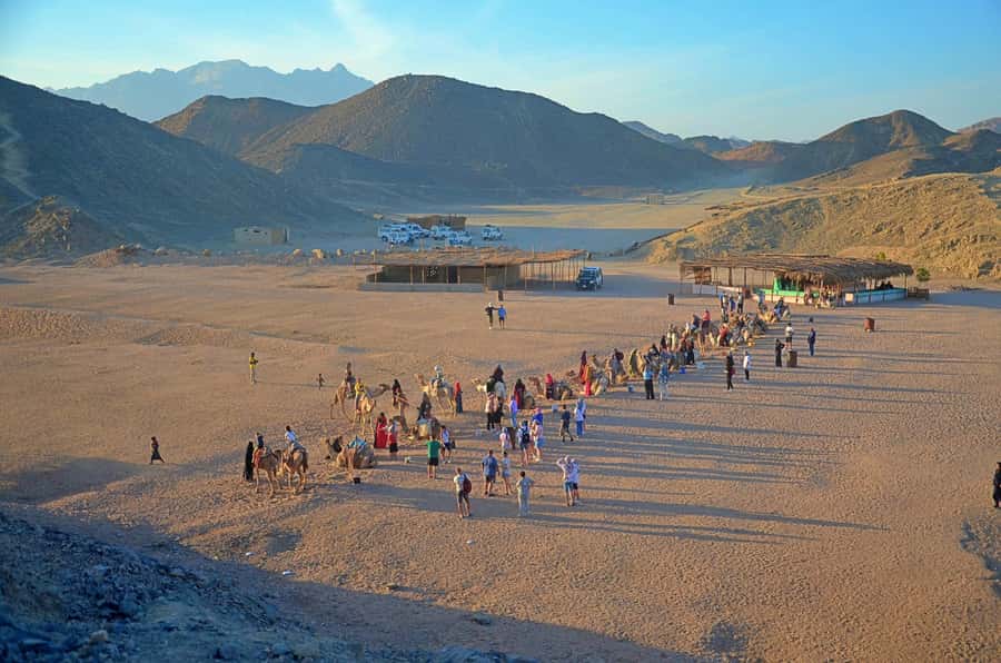 Hurghada: Safari Jeep & Camel Ride with BBQ Dinner & Show - Pickup, timing, and group size