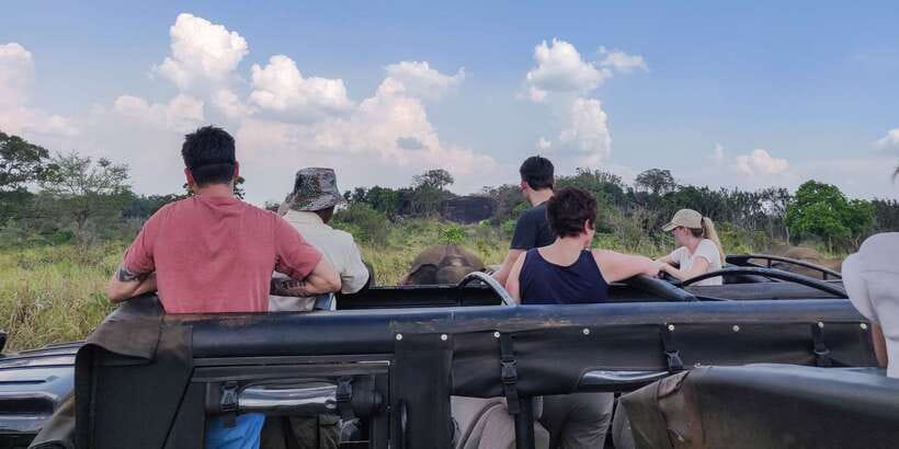 Hurulu Eco Park: 3-Hour Morning or Evening Safari - A Private Jeep That Works for Small Groups