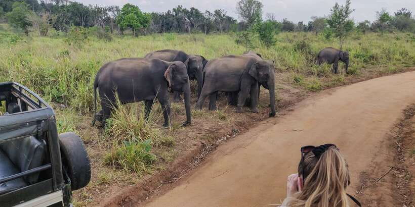 Hurulu Eco Park: 3-Hour Morning or Evening Safari - What the $24 Price Really Covers
