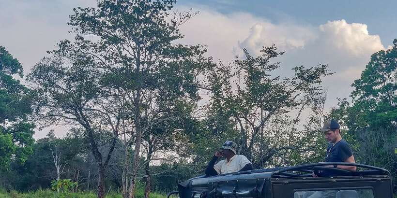 Hurulu Eco Park: 3-Hour Morning or Evening Safari - Elephants Are the Main Event