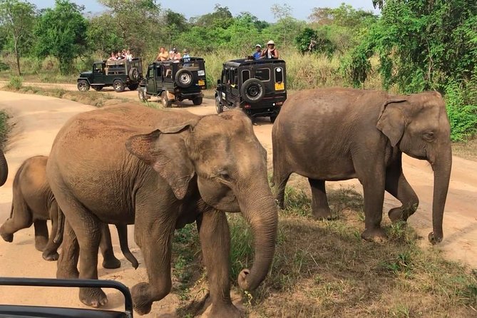 Hurulu Eco Park Private Safari - Is $27 good value?