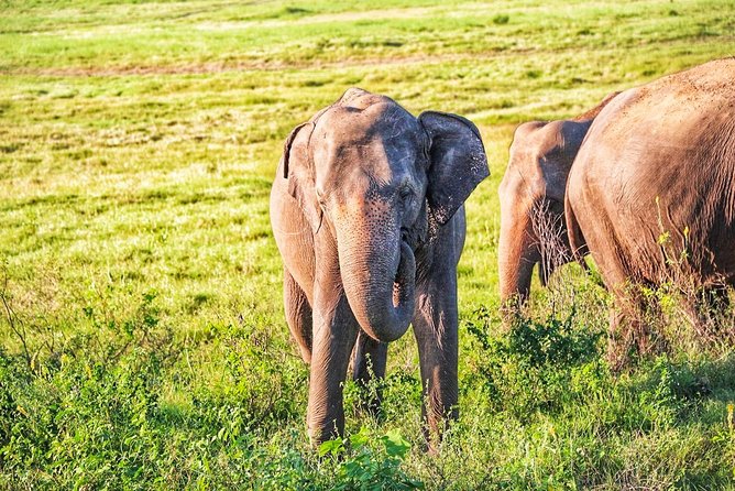 Hurulu Eco Park Private Safari - What the three-hour route is like